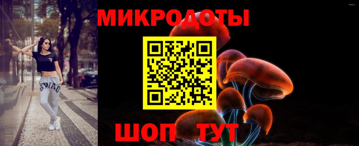 Галлюциногенные грибы мицелий  Вход с VPN  Вологда  Галлюциногенные грибы Cubensis 